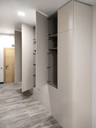Распашной шкаф в прихожую 2895x4556x565