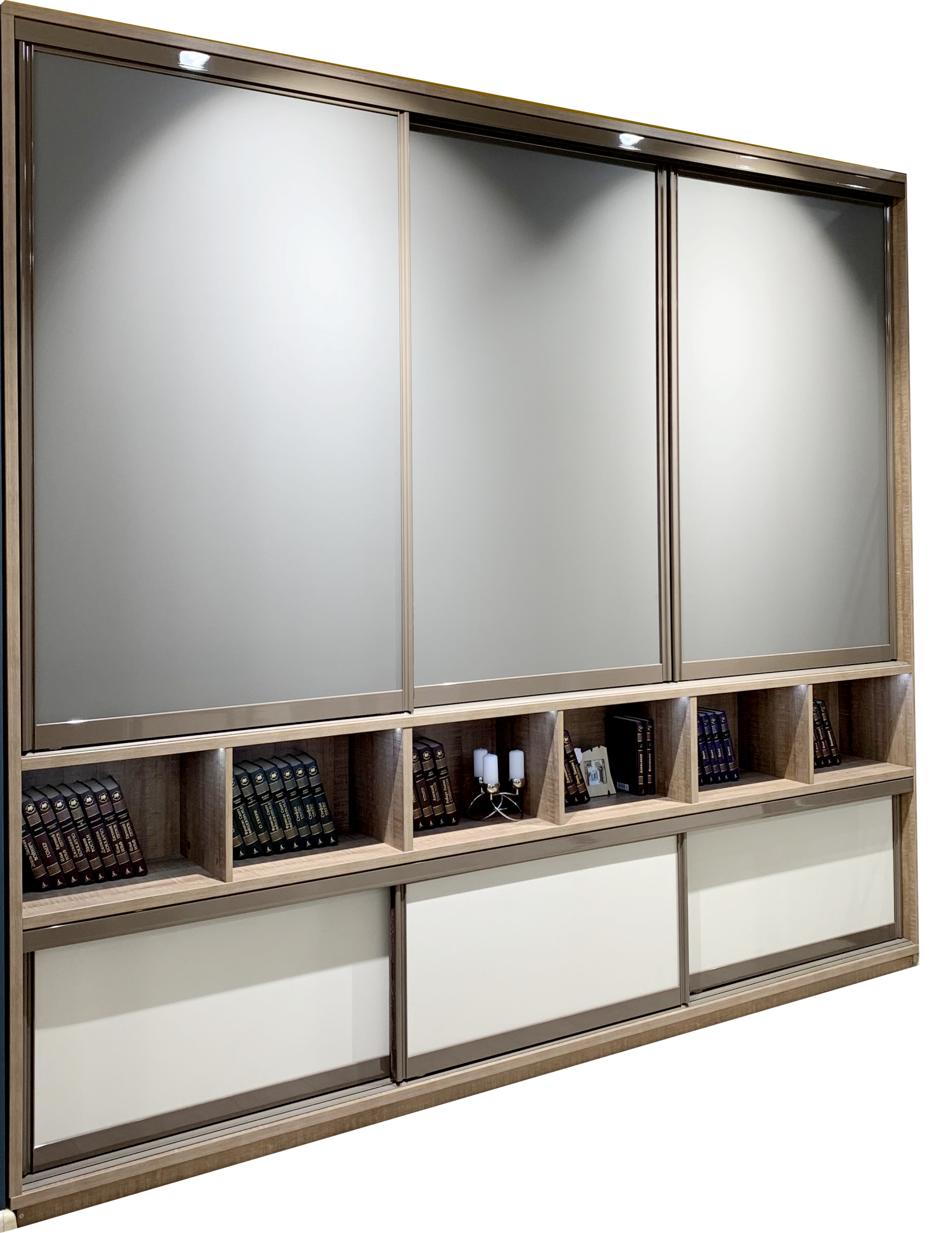 Шкаф купе «Библиотека»