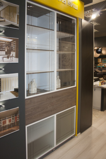 Библиотека со стеклянными дверями в гравировке и тонким профилем Opal