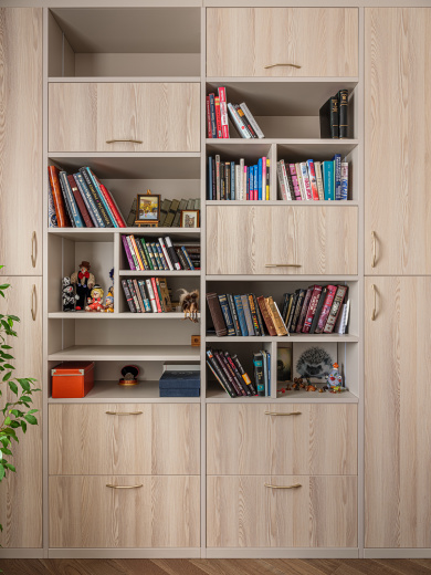 Шкаф-библиотека 